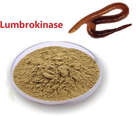 Materia prima Lumbrokinase di consegna sicura dell'estratto di API Raw Powder Low Price Lumbrokinase