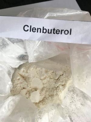 Wickr di Api Chemical della polvere del cloridrato di clenbuterolo di CAS 21898-19-1 me, wanjiang
