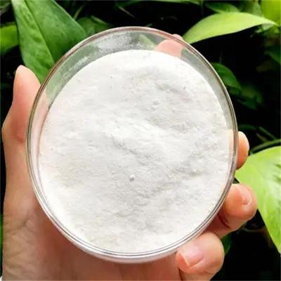 Cina Fornitura CAS 26787-78-0 Amoxicillina USP Farmaci antibatterici antibiotici