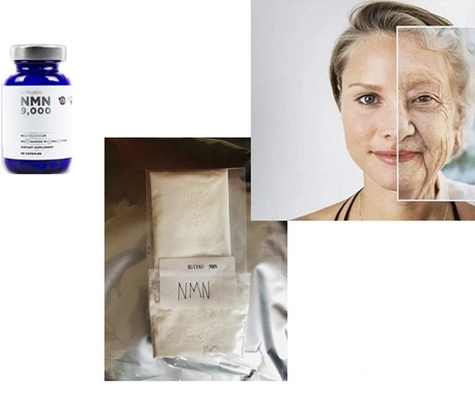 grado 1094-61-7 di CAS Comestic del mononucleotide della Beta-nicotinammide di purezza Nmn/di 99%